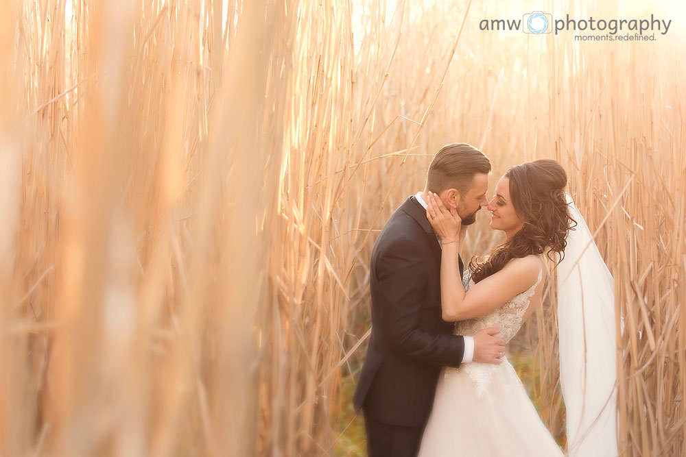 hochzeitsfotografie Hanau Hochzeit nidderau Brautpaar im Feld