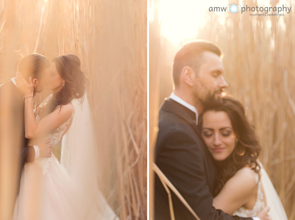 hochzeitsfotografie Hanau Hochzeit nidderau Brautpaar im Feld