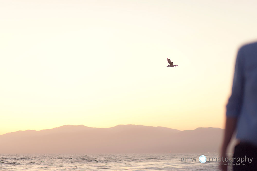 venice beach hochzeitsfotograf frankfurt nidderau engagementfotografie Fotograf 