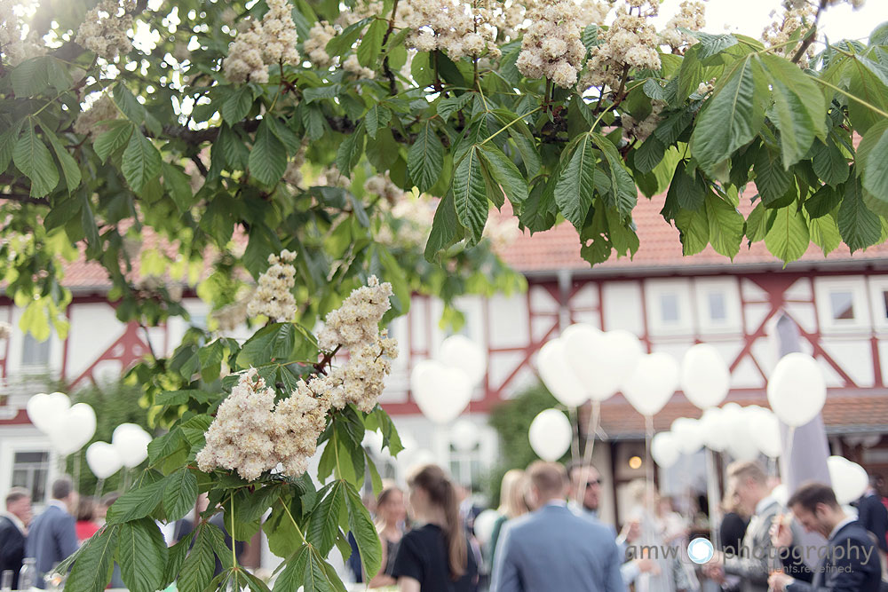 zum wilden mann grebenhain hochzeitsfotograf