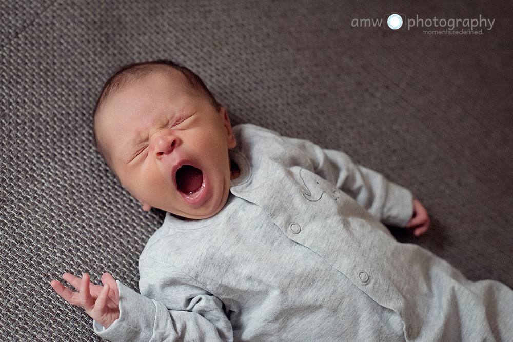 neugeborenenfotografie gründau frankfurt babybilder fotograf