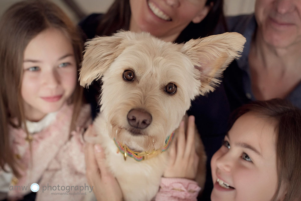 tierfotografie taunus familienbilder