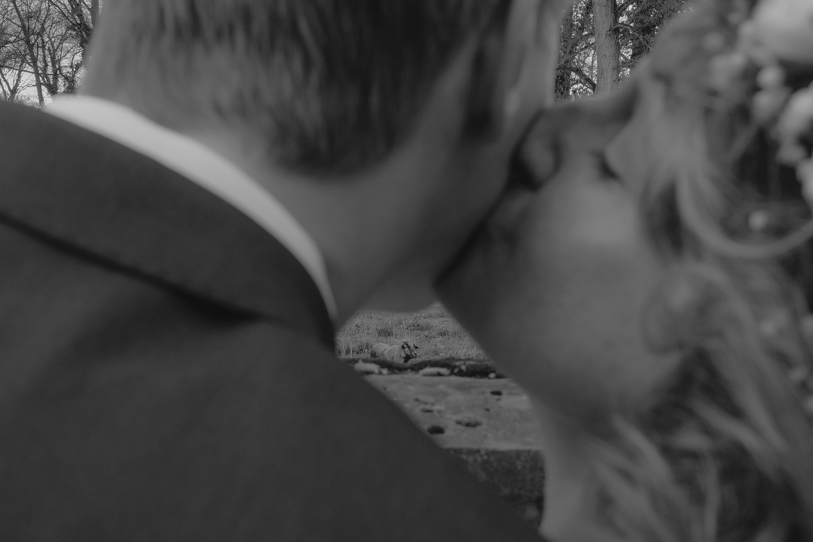 brautpaar schaf standesamt freie trauung hochzeitsbilder heiraten in frankfurt hessen hochzeitslocation darmstadt taunus engagementbilder fotografin nidderau bilder in der wetterau im main kinzig kreis