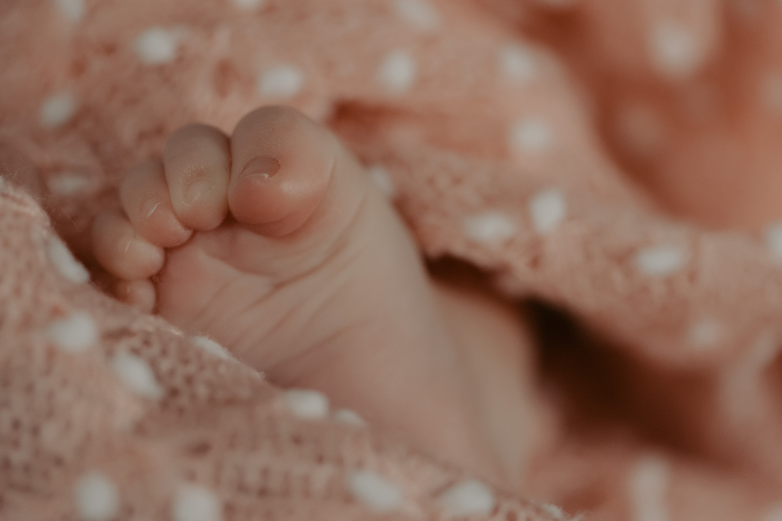 kinderfotograf nidderau babfotografin frankfurt babybilder kinderbilder fotografieren hessen neugeborenenbilder familienbilder