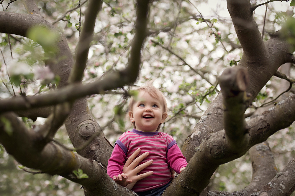 kinderfotos nidderau und bruchköbel kinder fotografieren in frankfurt am main familienbilder im frühling mit apfelbaumblüten familienfotografin 