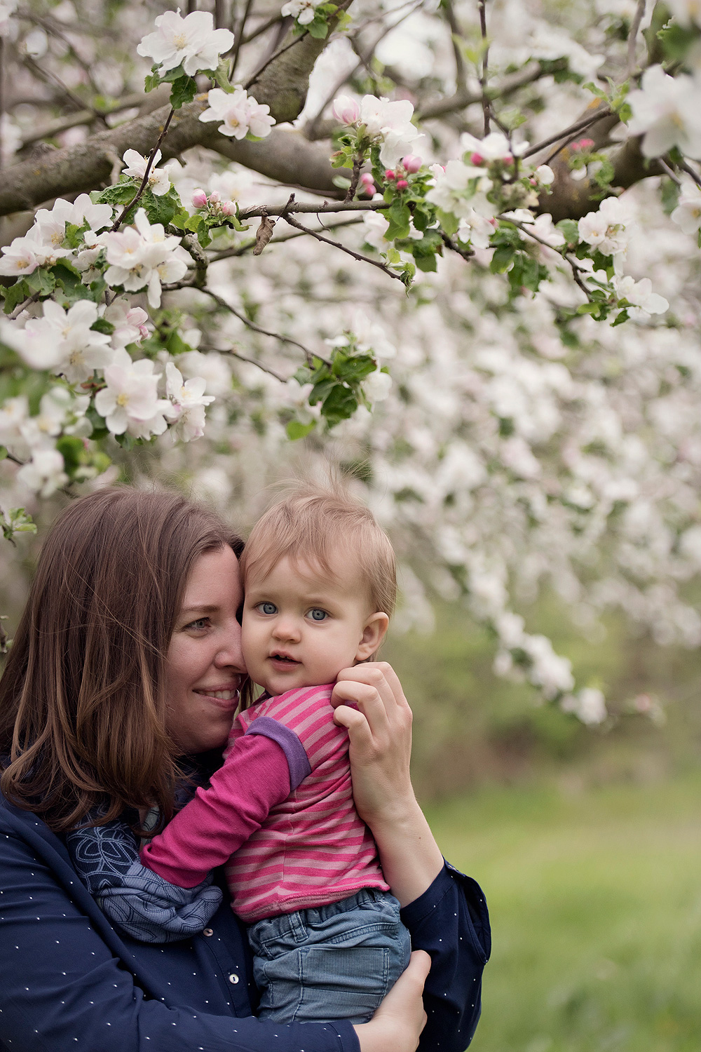 kinderfotos nidderau und bruchköbel kinder fotografieren in frankfurt am main familienbilder im frühling mit apfelbaumblüten familienfotografin 