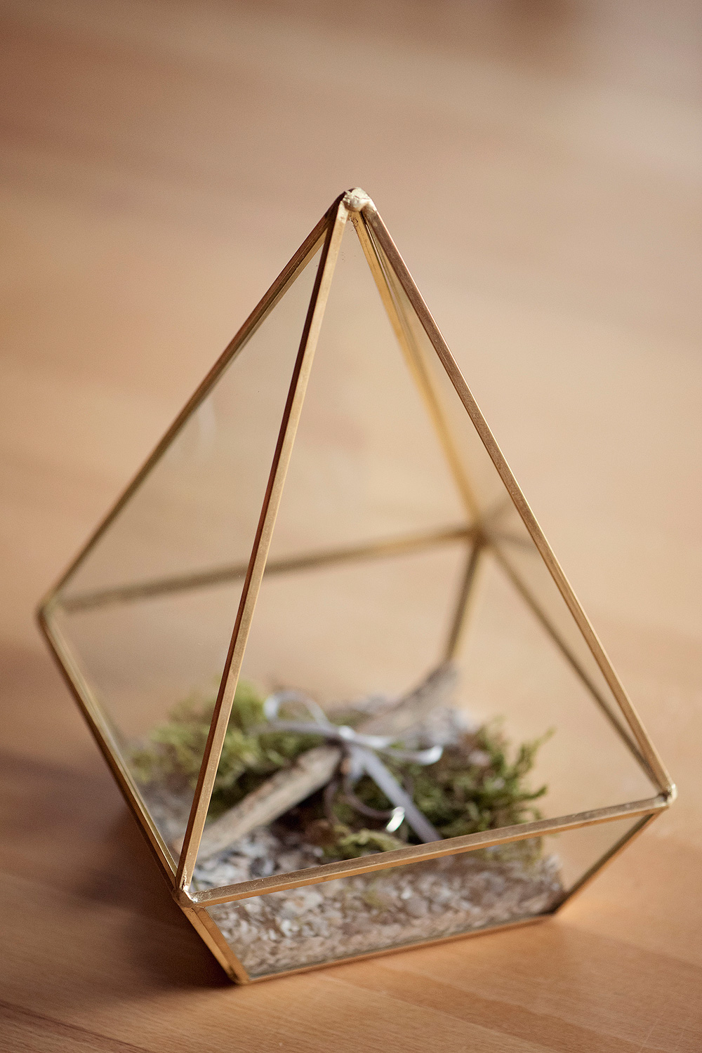 Terrarium Ringkästchen aus glas heiraten in hessen ringkissen eheringe alternativen hochzeitslocation