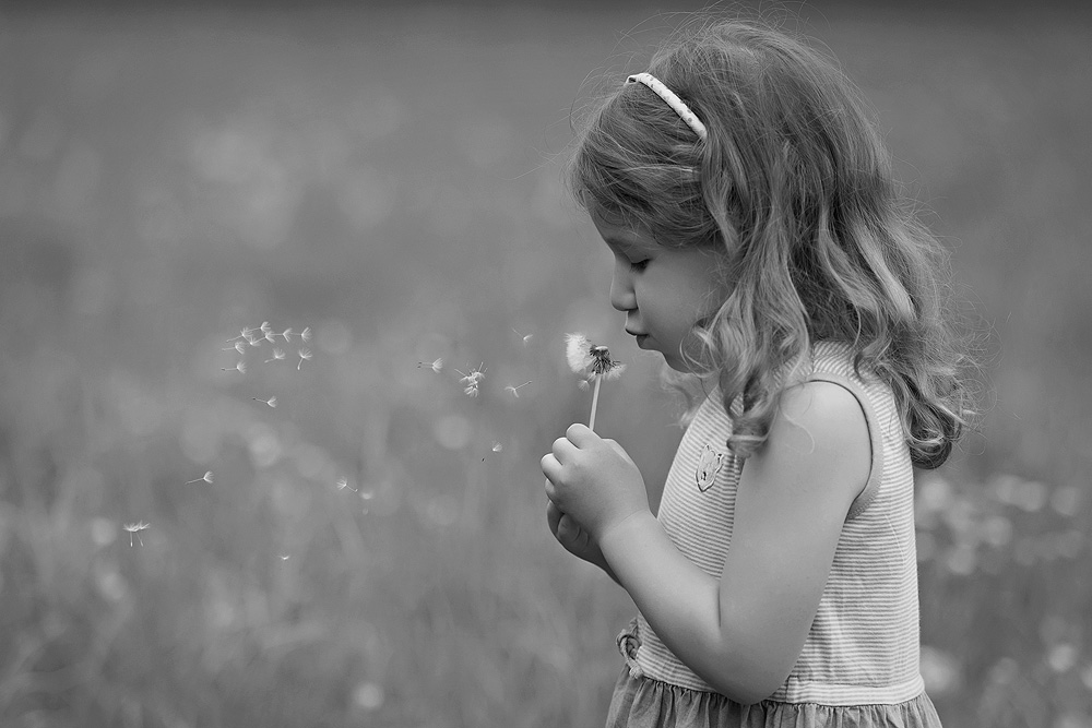 geschwisterbilder kinderfotograf familienfotografin nidderau familienbilder windecken wiese spaß