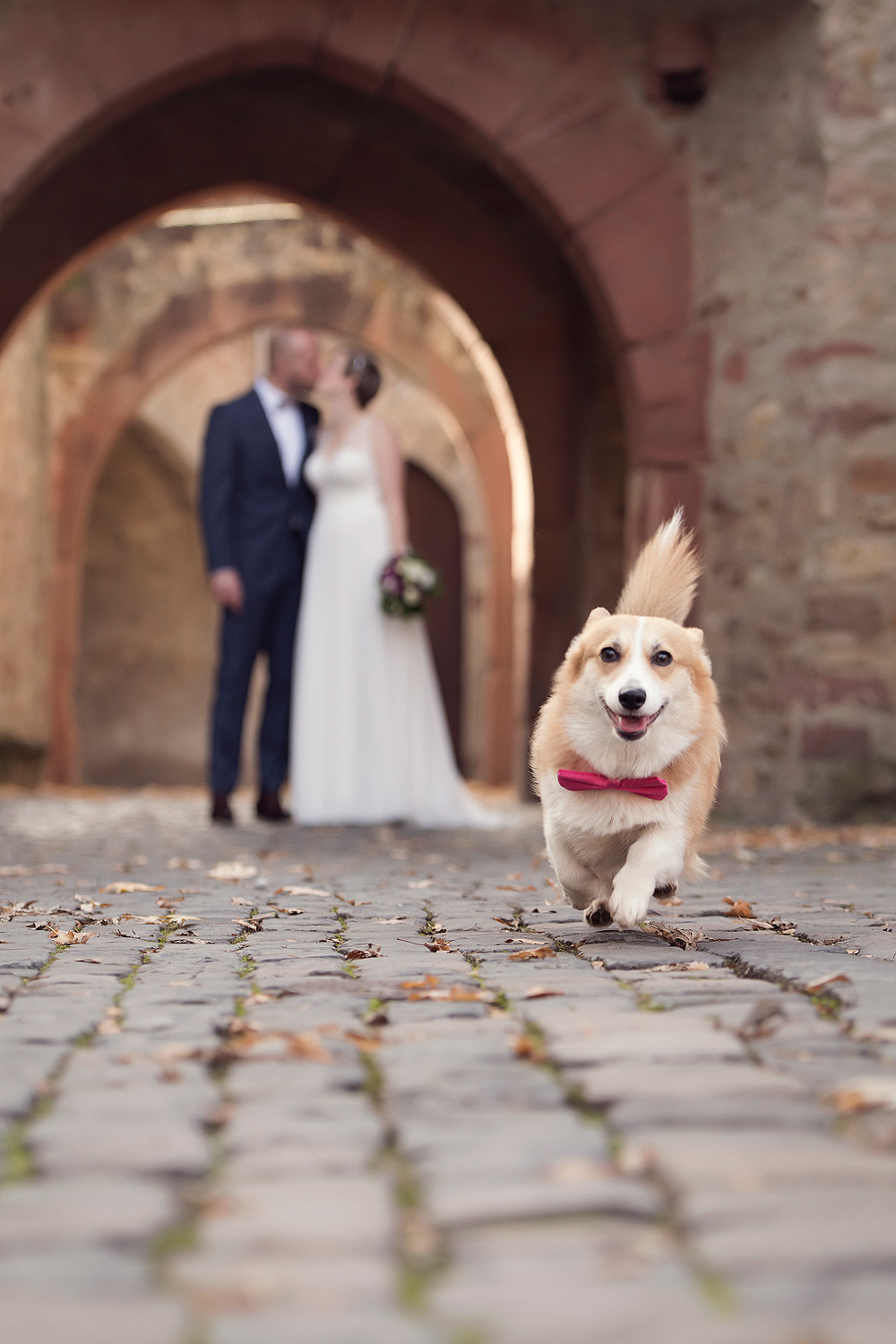 hund brautpaar hochzeitsfotograf frankfurt brautpaar wiesbaden heiraten in hessen standesamt freie trauung coronahochzeit kleine feier