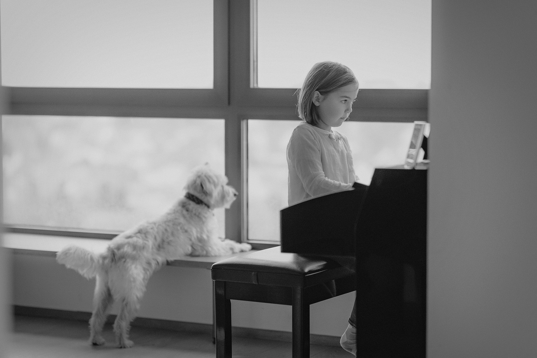 klavier und hund kind spielt auf musik instrument kinderfotografin frankfurt bilder kinderfotos kindheit hobby fotograf nidderau altenstadt darmstadt