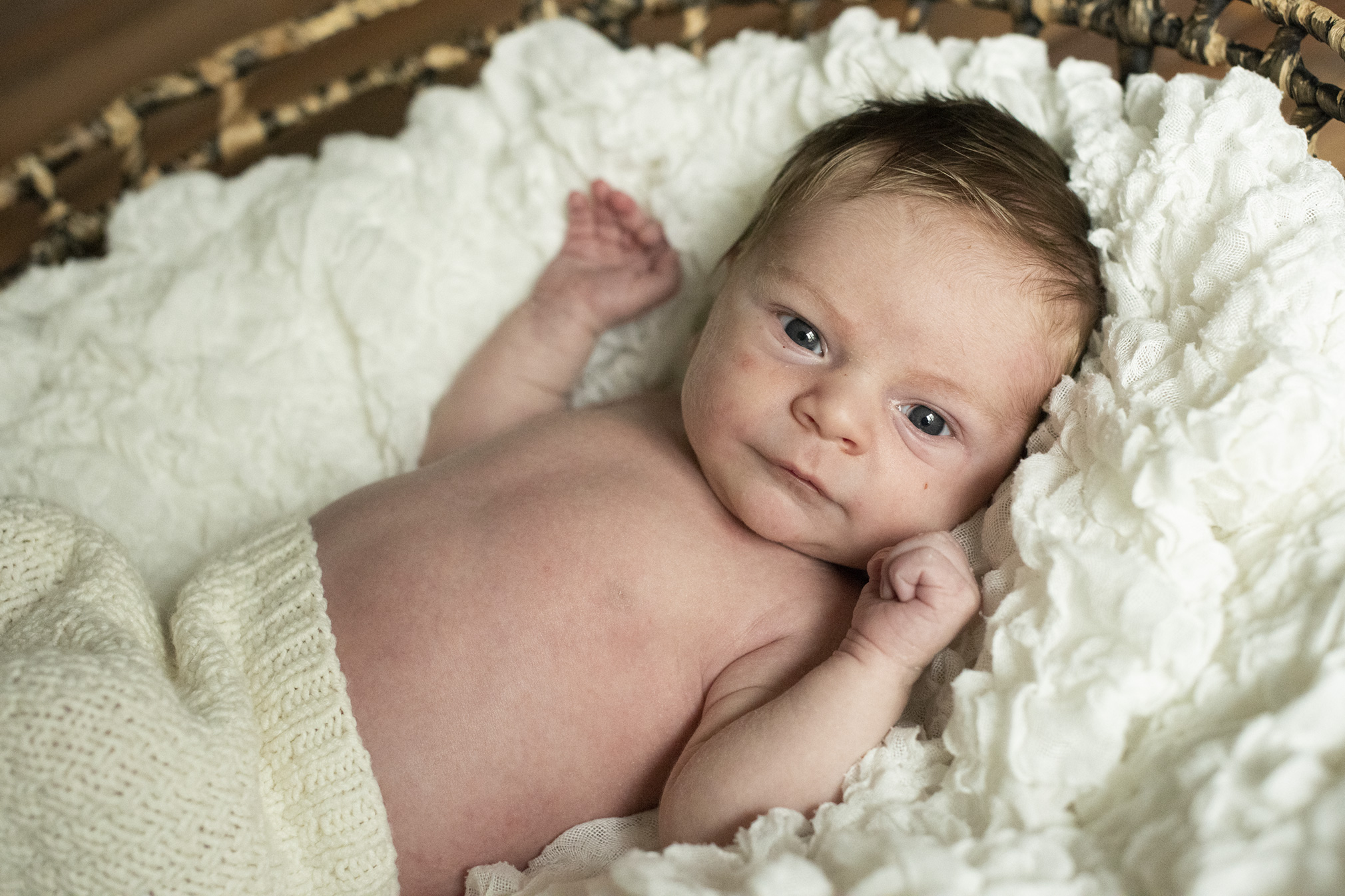 babybilder-langenselbold-frankfurt-kinderfotografin-homestory-baby-im-korb-klassisch-amw-05 Kinderfotografin frankfurt darmstadt familienbilder geschwisterbilder kindheit erinnerungen momente einfangen fotograf hanau freigericht kinderbilder linsengericht familie eltern mit kindern fotografieren