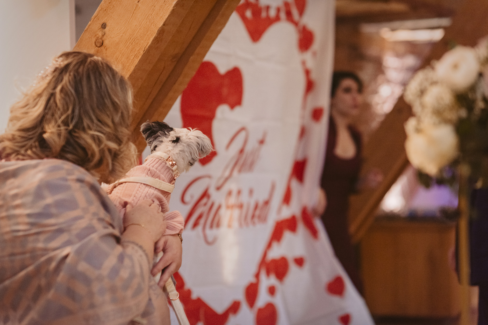 hochzeit gut hühnnerhof gründau heiraten freie trauung standesamt hofgewölbe brautpaar mit hund hessen hochzeitsfotografin ranstadt