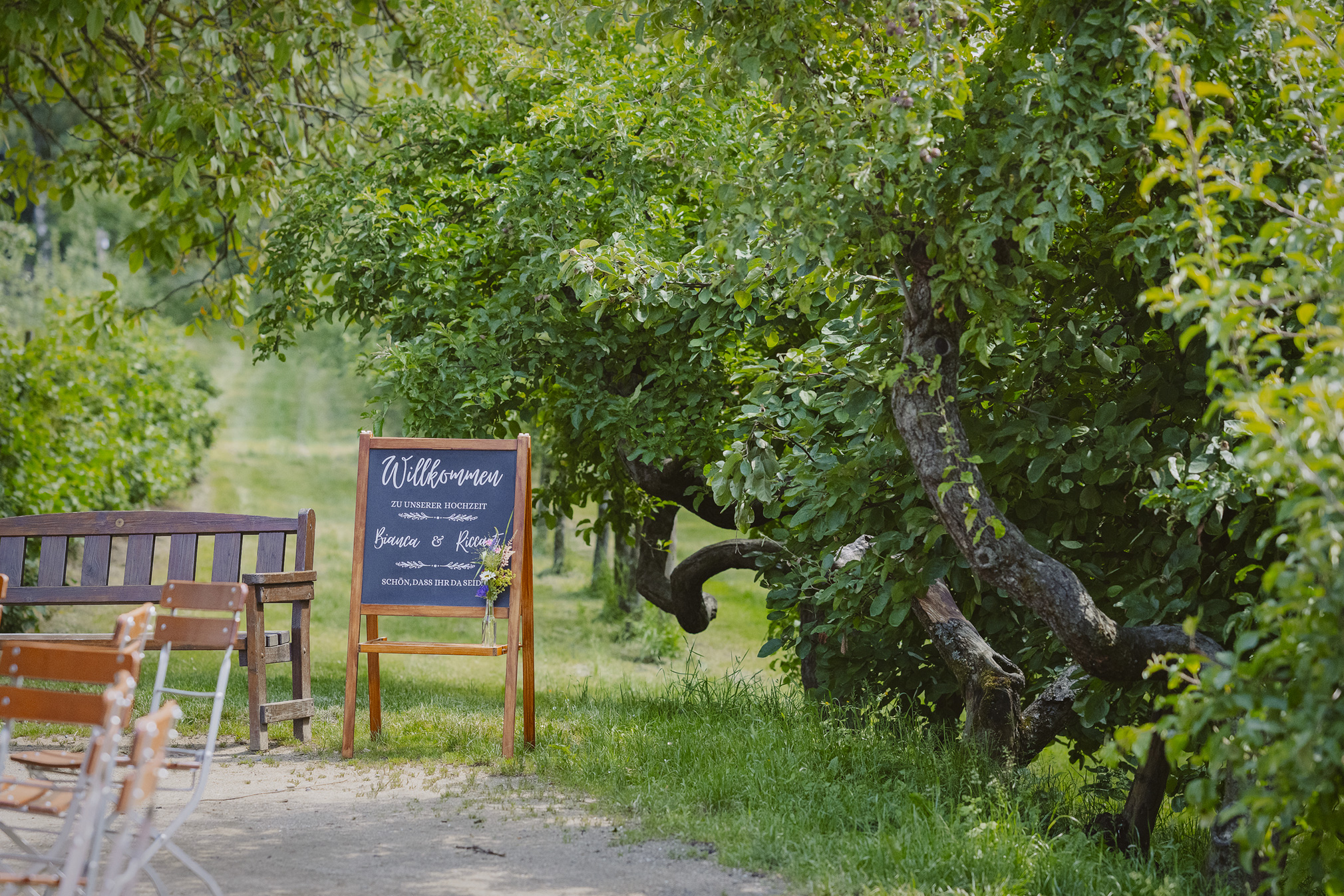 Hochzeit frankfurt fotografin ranstadt wetterau heiraten in hessen brautpaar brautstrauss hochzeitsdeko freie trauung standesamt obsthof am steinberg obsthof schneider frankfurt nieder erlenbach hochzeitslocation 
