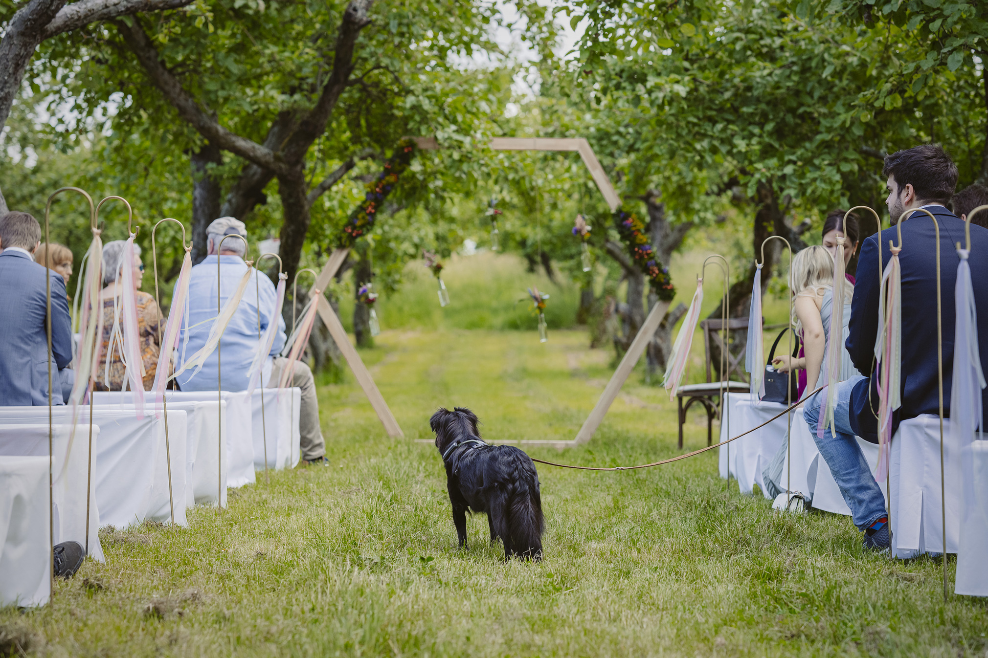 Hochzeit frankfurt fotografin ranstadt wetterau heiraten in hessen brautpaar brautstrauss hochzeitsdeko freie trauung standesamt obsthof am steinberg obsthof schneider frankfurt nieder erlenbach hochzeitslocation 