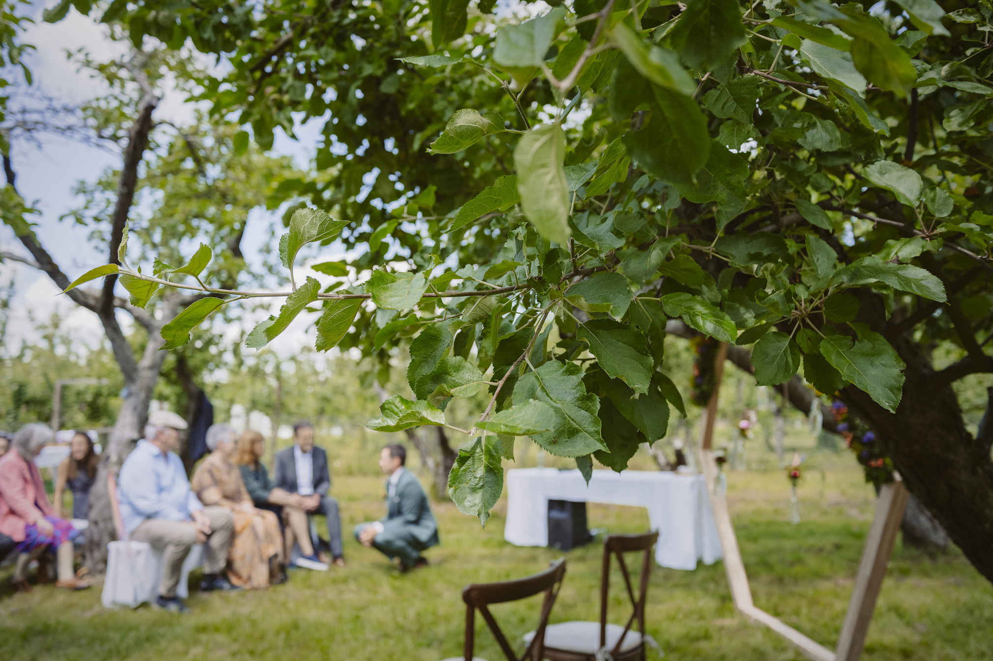 Hochzeit frankfurt fotografin ranstadt wetterau heiraten in hessen brautpaar brautstrauss hochzeitsdeko freie trauung standesamt obsthof am steinberg obsthof schneider frankfurt nieder erlenbach hochzeitslocation 
