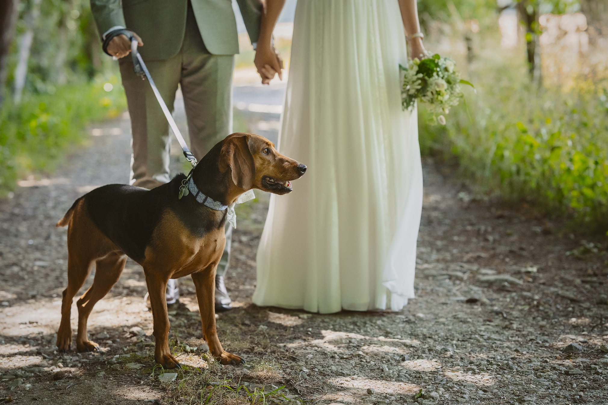 heiraten in hessen wetterau kulturscheune himbach freie trauung hochzeitsbilder hochzeitsfotografin brautpaar hochzeitspaar mit hund hochzeitsdeko frankfurt 
