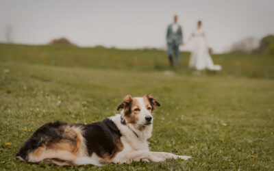 Helena & Jannik | eine Hochzeit in Gedern