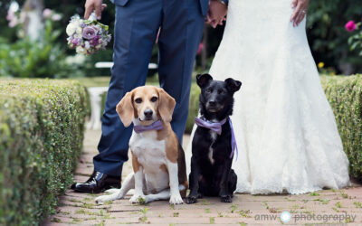 Simone & Marko | Hochzeit auf Schloß Stammheim